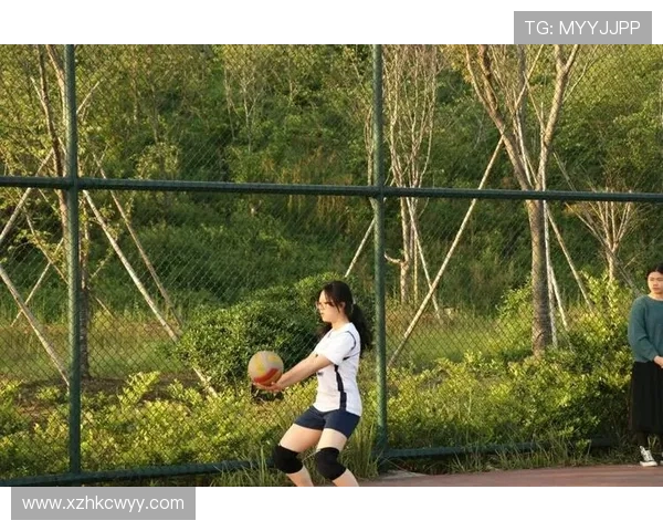 陈丽专访：揭秘排球界的成功秘诀与背后故事